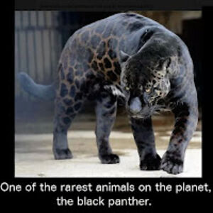 karentaylor_1 avatar