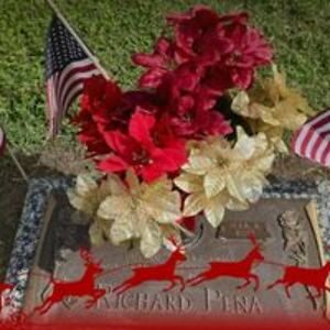 constatina_rosa avatar