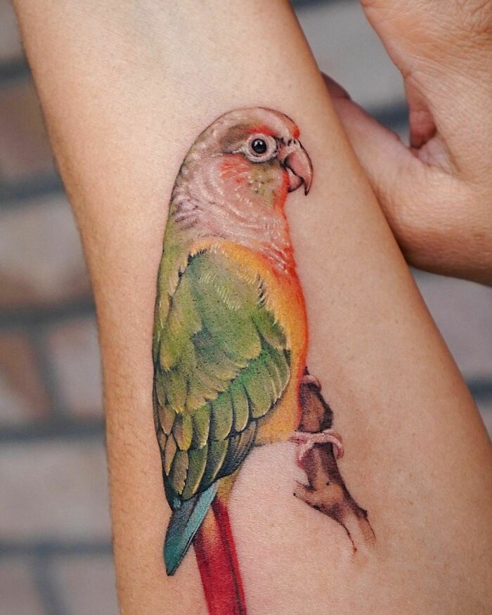 Realistic pet tattoo of a colorful parrot on an arm, symbolizing the bond between humans and pets.