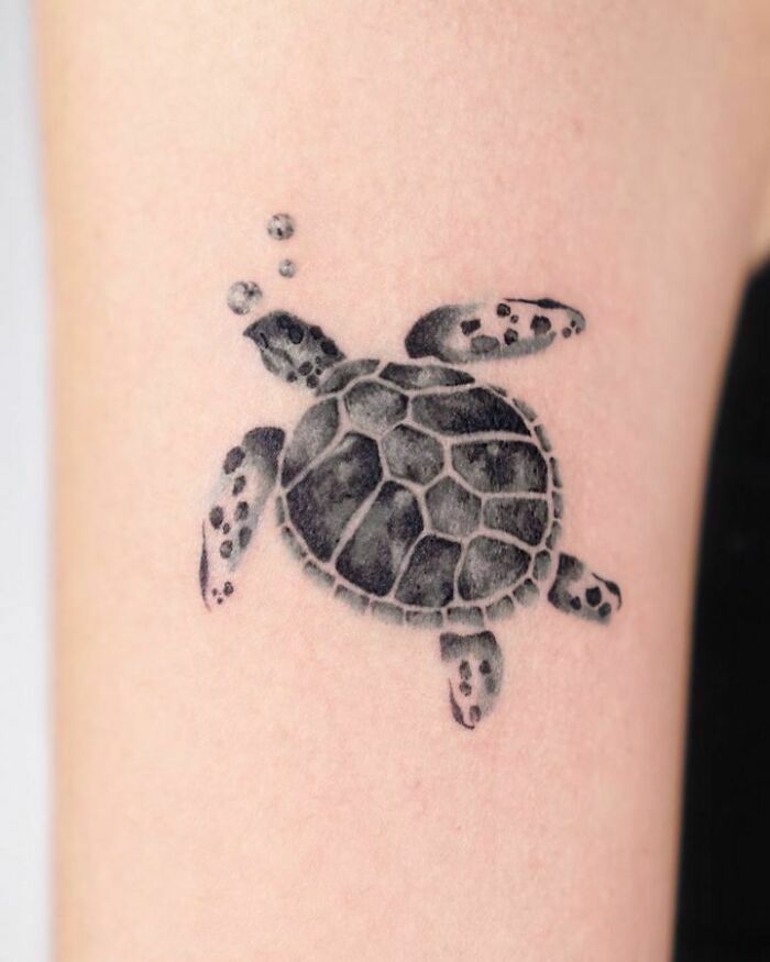Turtle tattoo design celebrating pets, inked with fine black lines and shading on skin.