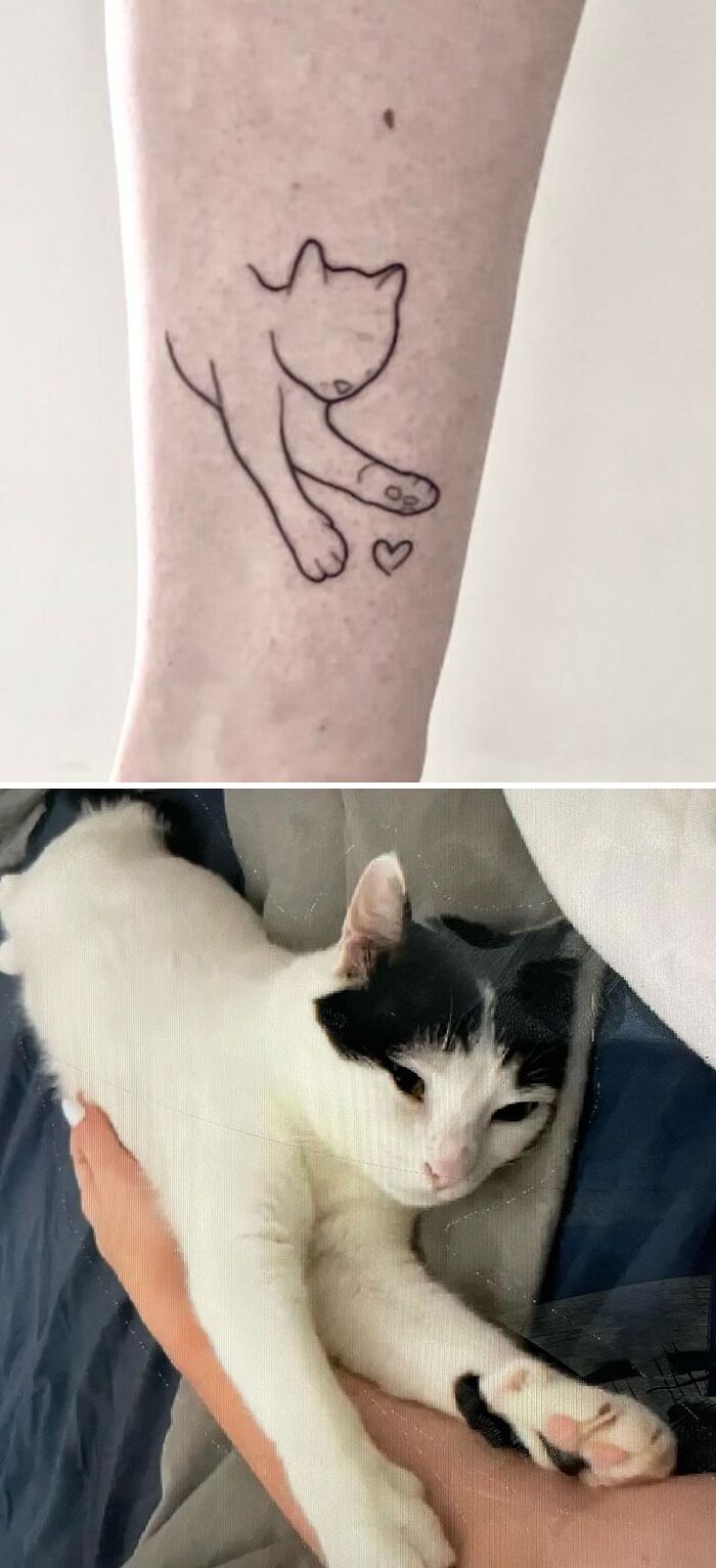 Cat tattoo outline and a white cat resting, celebrating furry friends.