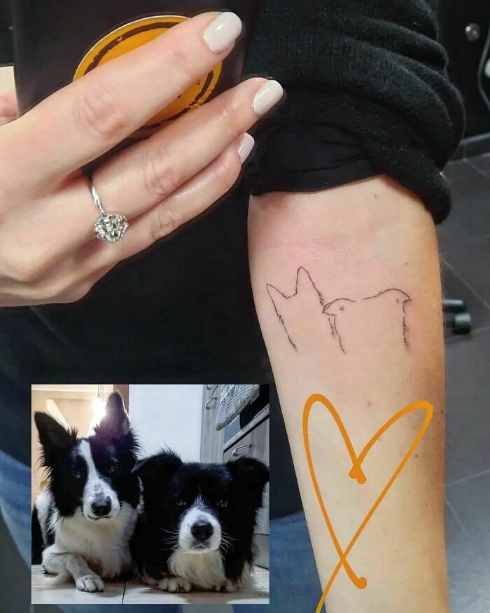 Pet tattoo of two dogs on a person's arm, with a photo of the real dogs underneath, celebrating human-animal bonds.