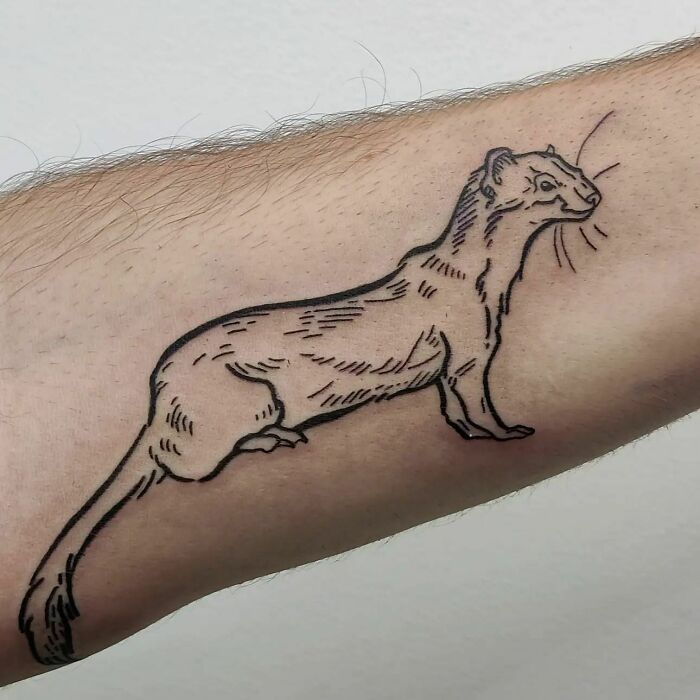 Pet tattoo featuring an outline of a ferret on a person's forearm.