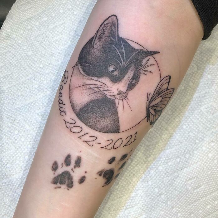 Pet tattoo featuring a cat with a butterfly, dates, and paw prints, celebrating the bond between humans and pets.