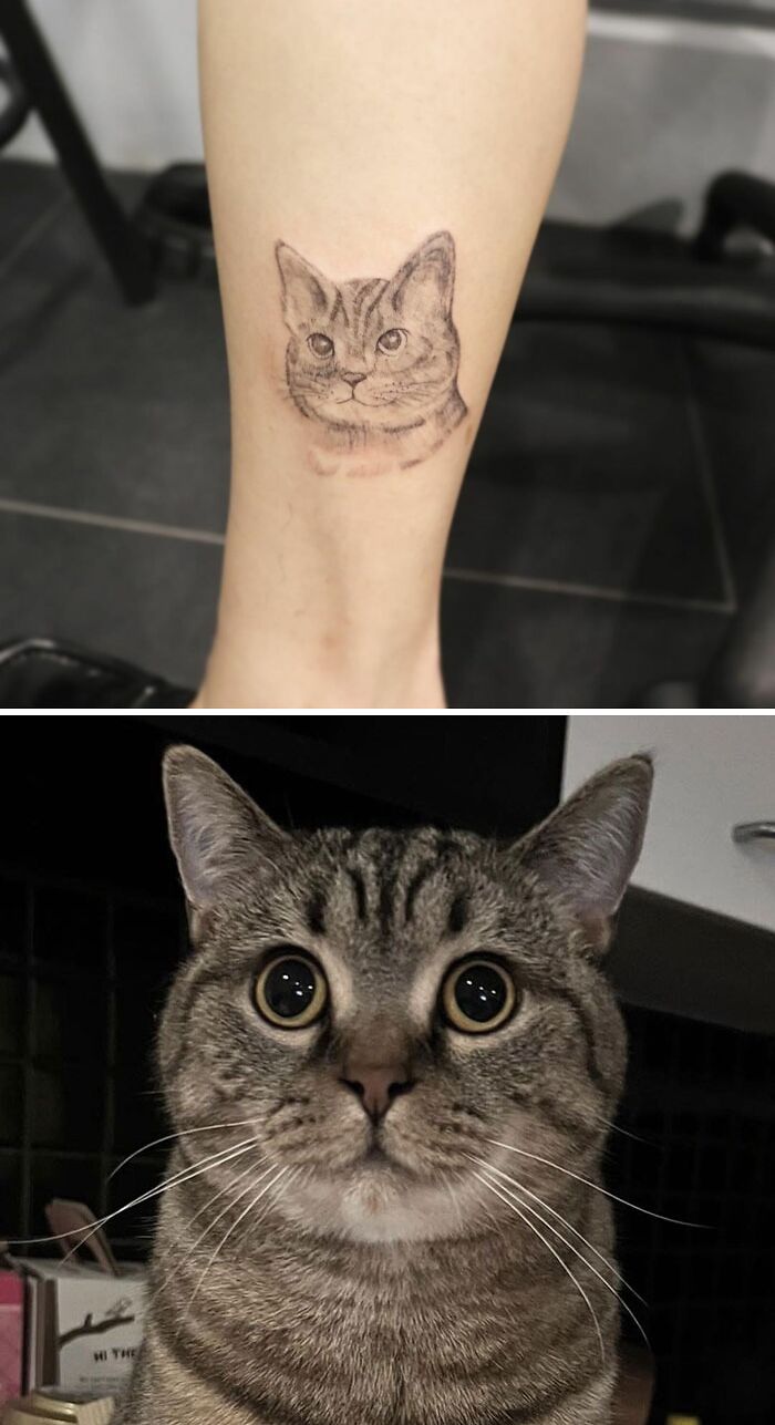 Cat tattoo on a person's leg, inspired by a real tabby cat to immortalize a beloved pet.