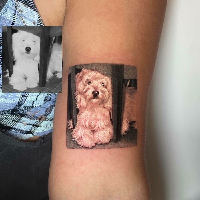 A detailed pet tattoo of a fluffy white dog on a person's arm, showcasing the bond between humans and their pets.