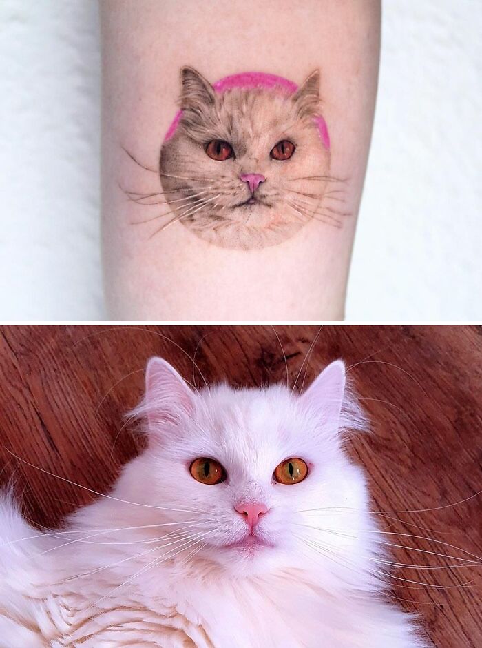 Pet tattoo of a cat with pink accents on an arm, above a photo of the same fluffy white feline with orange eyes.