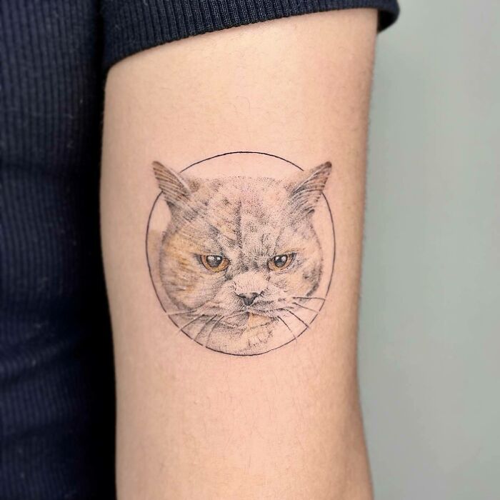 Cat tattoo on arm, featuring a detailed portrait of a cat face to immortalize a beloved pet.