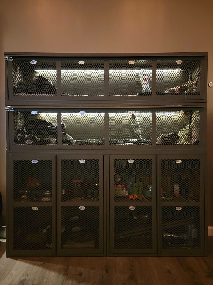 Ivar Cabinets I Turned Into Industrial Locker Themed Guinea Pig Cages. These Pictures Are ~2 Years After The Build, It's Held Up Excellent!