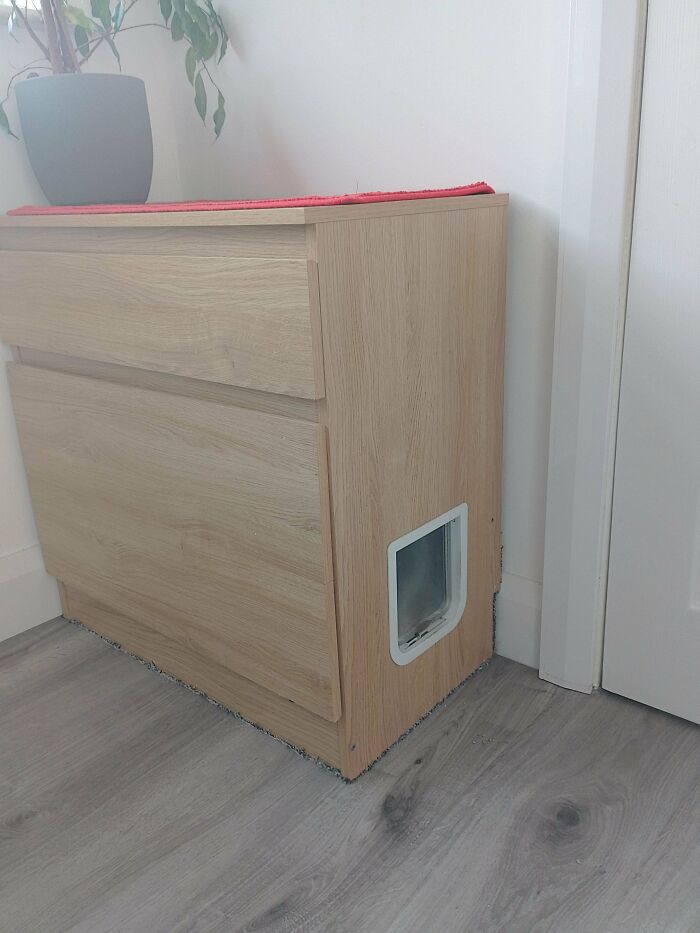 Presenting The Kitty Kullen