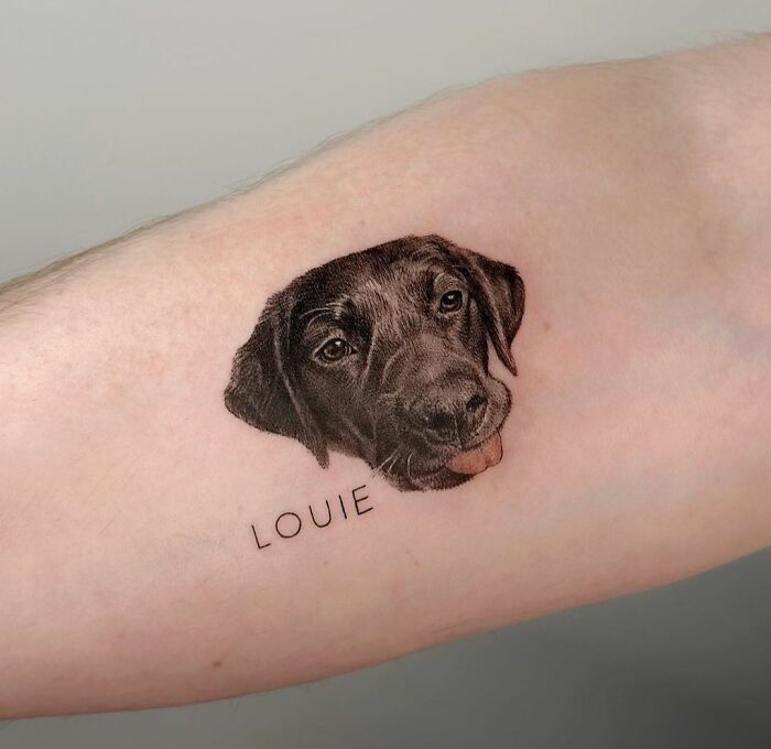 Pet tattoo featuring a realistic black dog portrait with "LOUIE" text on forearm, celebrating furry friends.