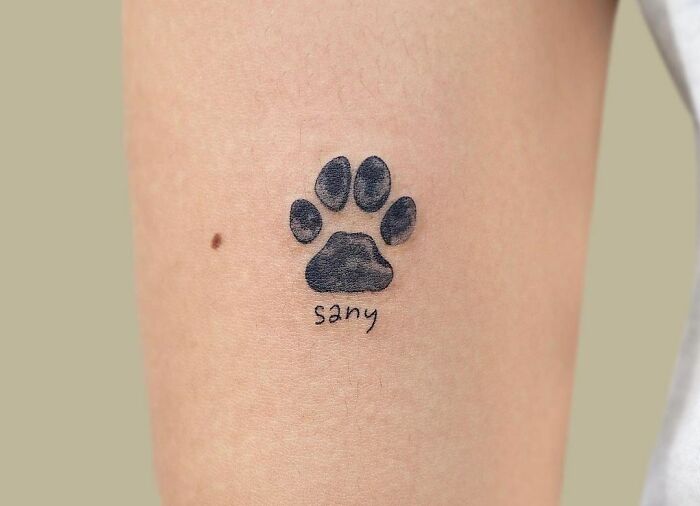 Pet tattoo of a paw print on an arm with the name "sany" written below.
