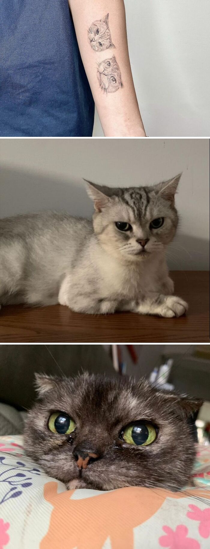 Pet tattoos featuring two cats on an arm, celebrating furry friends.