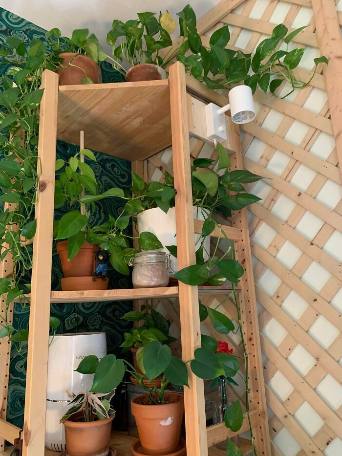 Nymåne Mount For Ivar. Made With Scrap Ivar Parts And Plywood