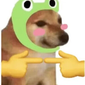 dogeinafroghat avatar