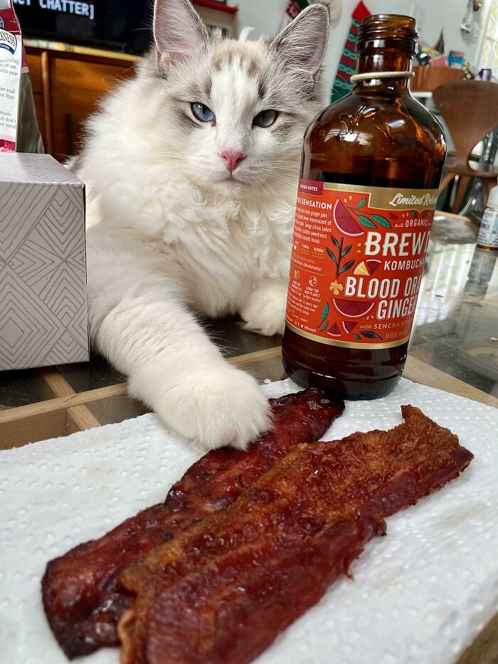 Who Else Has A Food Monster At Home? At Least He’s Polite