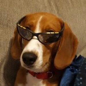 joseph_stingel avatar