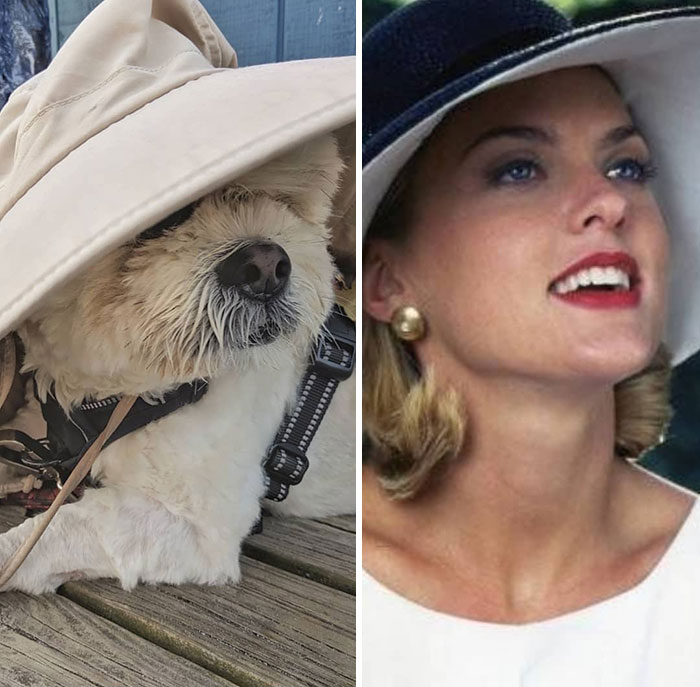 Then Again, Being Young And Beautiful Is Not A Crime You Know