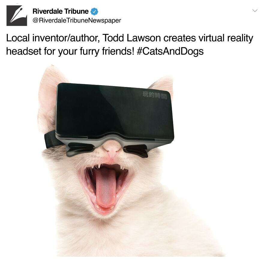 35 Faux Tweets For Bizarre Products