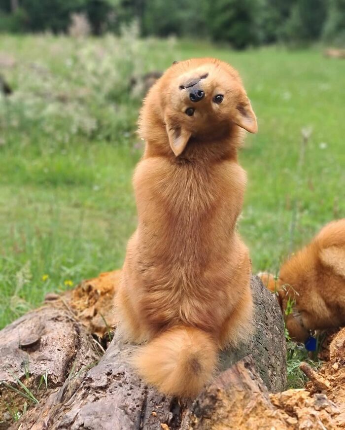 35 People Answer "What Is The Most Important/Biggest Unspoken Rule You Know?”