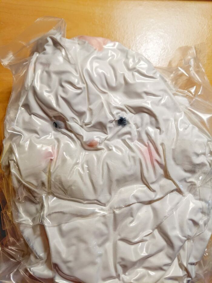 Adorable Plushy Bunny Vacuum Sealed Is A Whole Other Sort Of Gift! My Husband Said We Have To Put It In The Stocking This Way; It's Too Funny Not To!