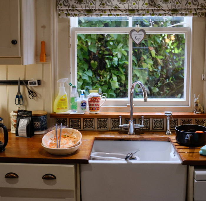 Not Washing The Dishes