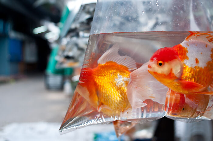 Users Of This Online Group Reveal 30 Things That Were Considered Regular When They Were Kids, But Now They Don’t See It Anymore