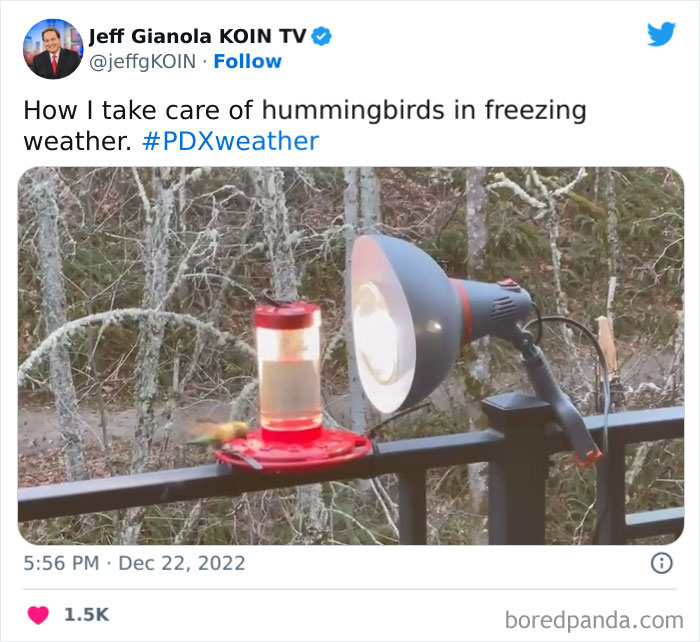 Blizzard-Snow-Cold-Weather-USA-2022