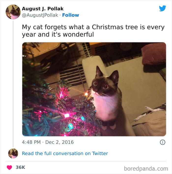 It Is A Giant Play Toy