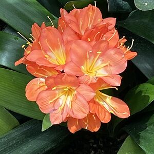 mkhickman3225 avatar