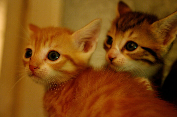 30 Of The Most Brilliant Presents People Ever Got