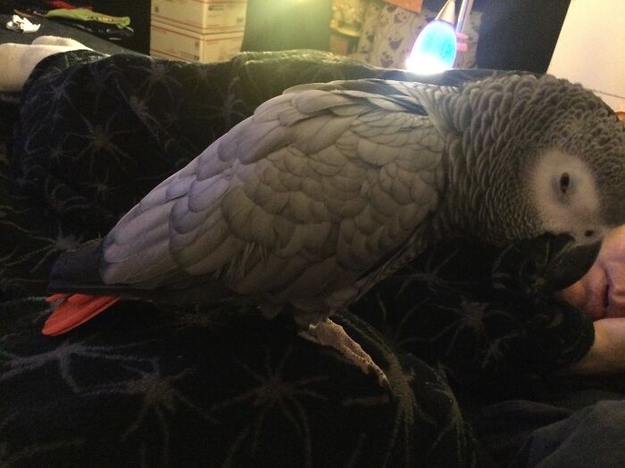 Opened His Eyes The Moment I Snapped The Pic 📸