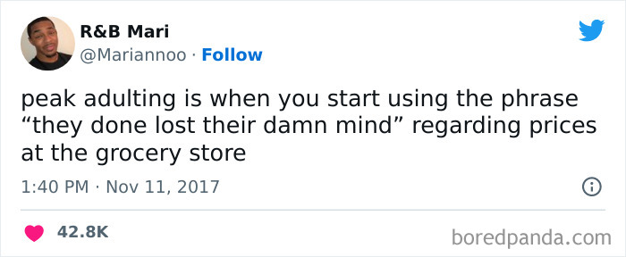 Modern-Adult-Struggles-Adultproblem