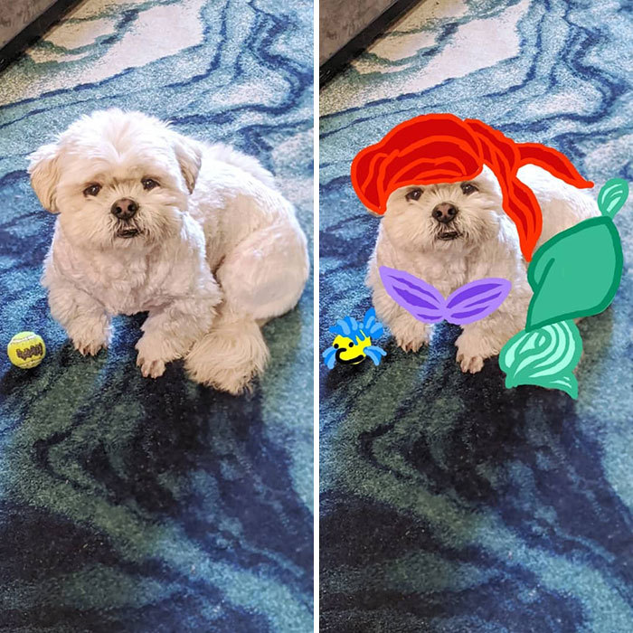 "Wandering Free, I Wish I Could Be Part Of That...woooooorld!"