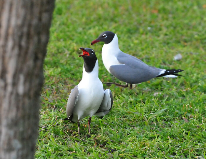 30 Of The Most Uncomfortable Situations People Ever Found Themselves In, As Shared In This Thread