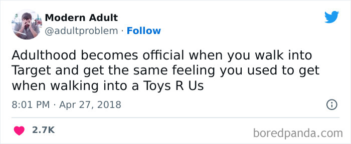 Modern-Adult-Struggles-Adultproblem