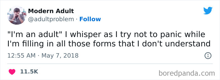 Modern-Adult-Struggles-Adultproblem