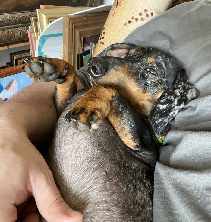 Took A Long Walk On Those Little Leman Legs