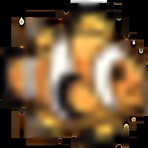 G҉A҉C҉H҉A҉ A҉L҉E҉X҉