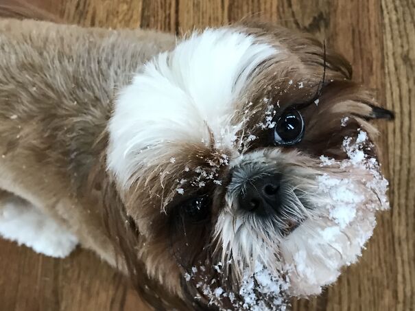 She’s Such A Diva!