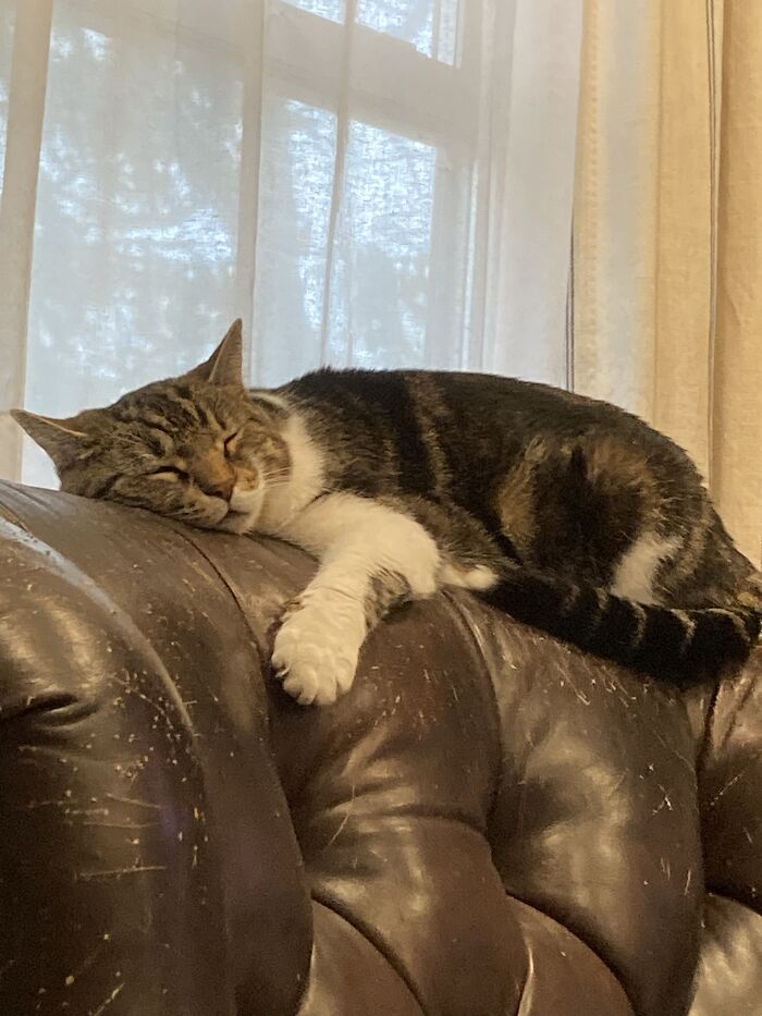 Because You Liked His Other Picture