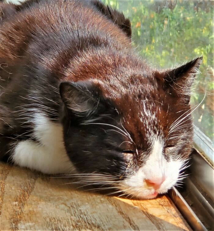 Enjoying The Last Rays Of Summer