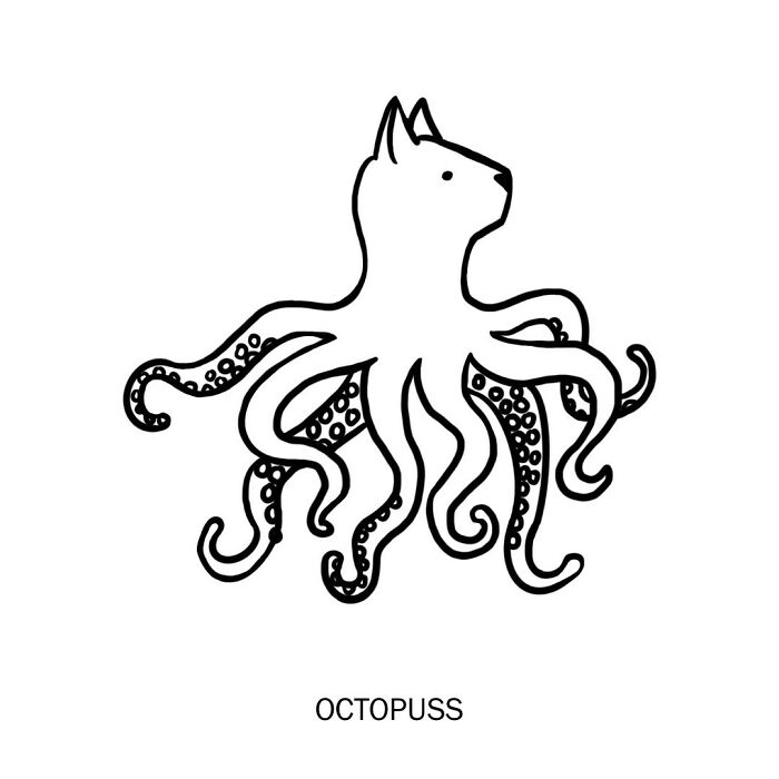 Artist Illustrated Literal Meanings Of Words And Word Combinations (New Pics)