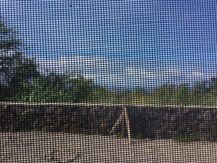 Through A Window Screen