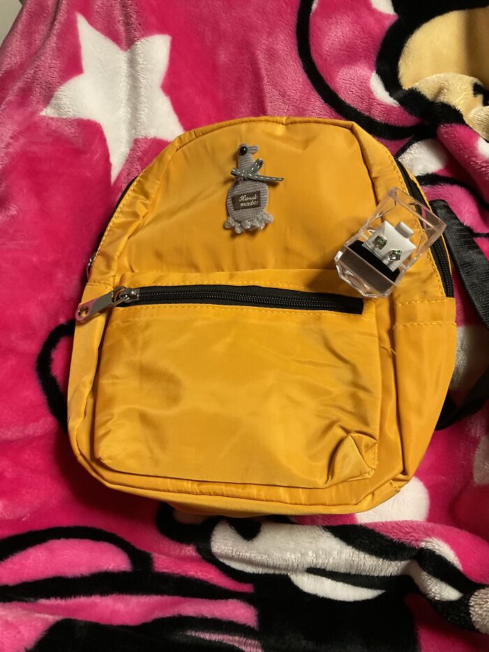 This Cute Little Handmade Bag! And These Earrings :d