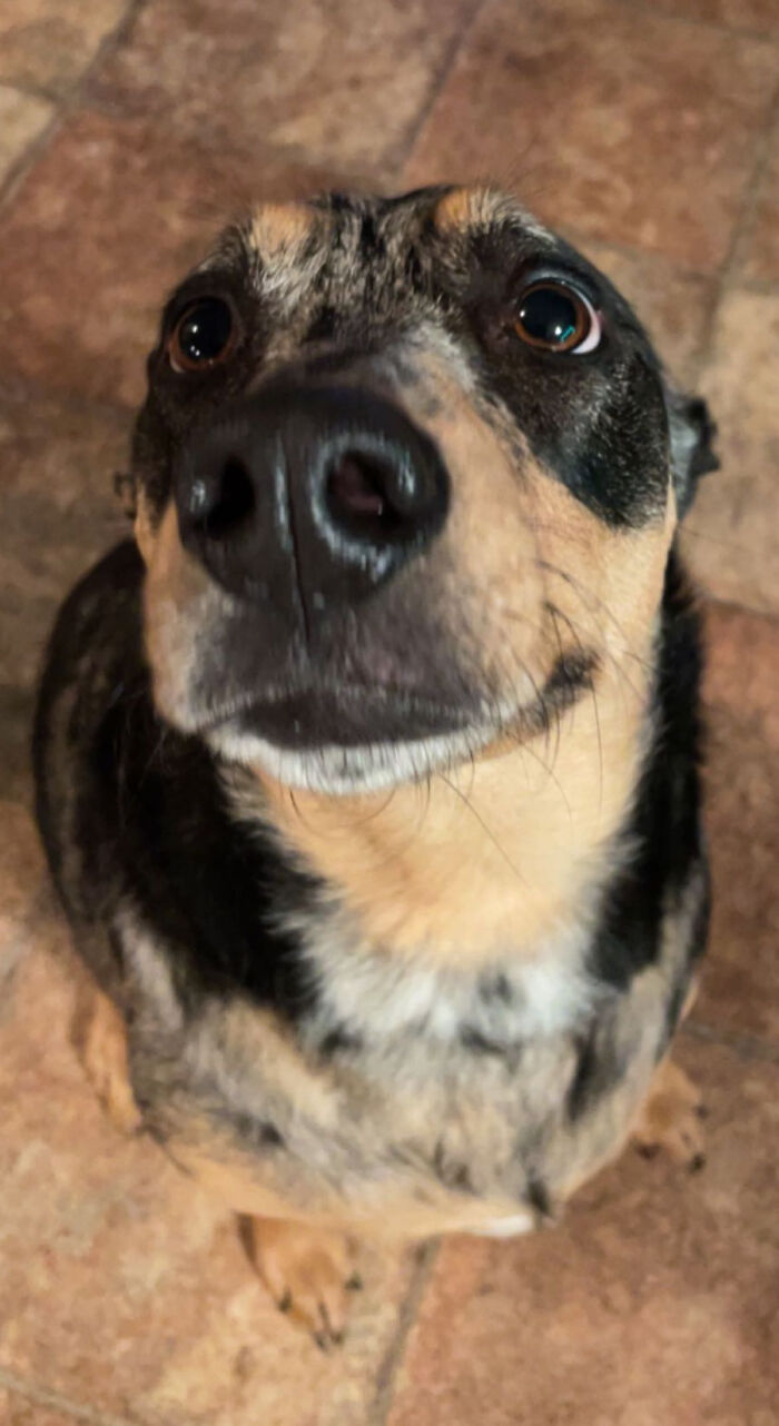 Another Pic Of The Beautiful Kweenie