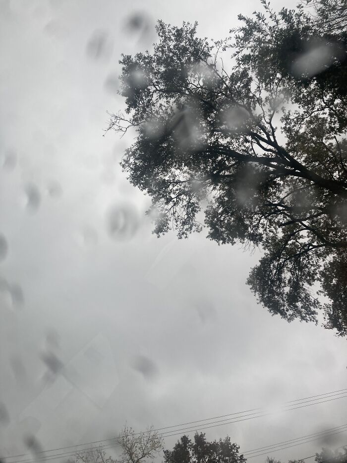 On My Way To Practice Rn 