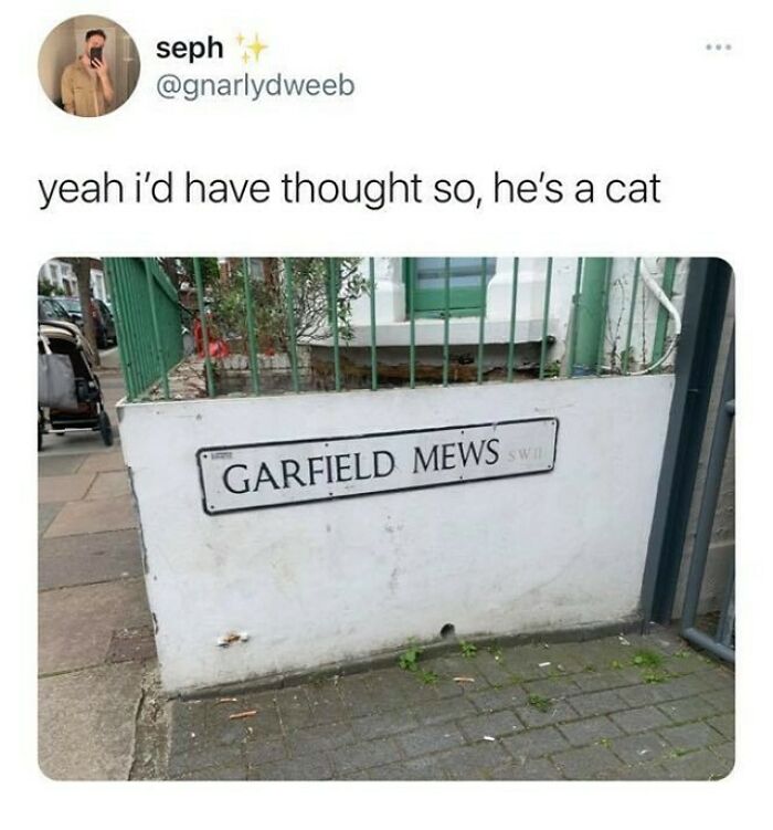 Tweet above a street sign reading Garfield Mews on a sidewalk, highlighting quirky humor related to Ireland.