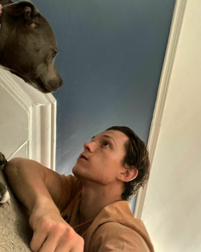 Tom Holland, 67.6 Million