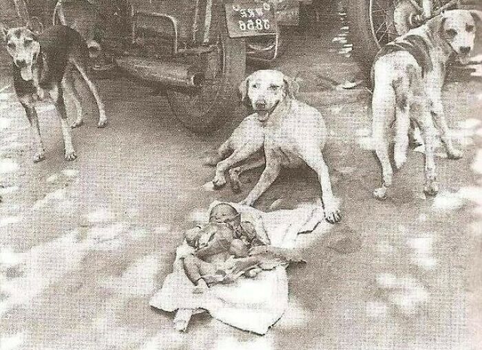 En 1996, una recién nacida fue abandonada en un contenedor de basura cerca de Calcuta, India